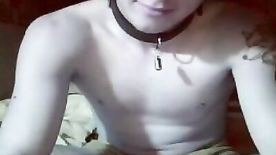 Sweet Web-Cam Puppy :).