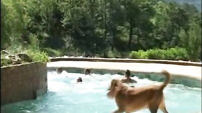 Gay Porn Fun Fest: Candid Cam 5!