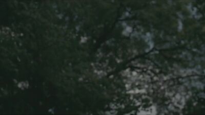 AA Vid S - Siemiany (short film 2009)