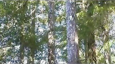 Truck Trouble: Action Gay Porn Video!