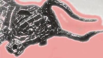 2 Twinks BB: Double the Action!