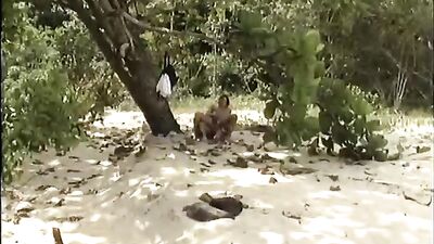 Gay Beach Paradise! Action-Packed Sex on the Sand!