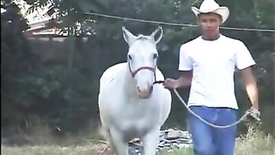 Brazilian Heat: Action-Packed Encounters with Sweet Men!