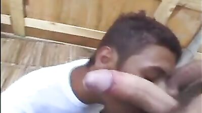 Brazilian Heat: Action-Packed Encounters with Sweet Men!