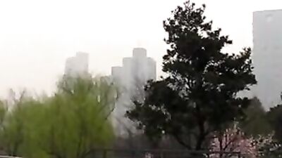 Asian Fever: Exploring the Love of Asian Boys!