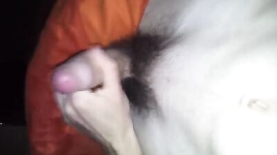 Young & Cut: A New Era of Amateur Gay Porn