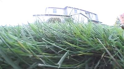 Gay Porn Amateurs: Stupid Things!