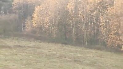 Gay Twink Blow Job in Country House - The Ultimate Experience