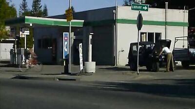 Nature Play XXX: A Wild Gay Porn Adventure