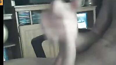 Jacking Off with Nice Dick Web-Cam Fun!