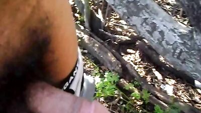 In the Park: Hardcore Action