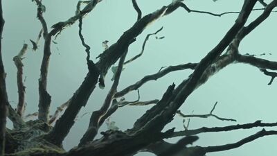 Consuming Desires: A Gay Porn Short Film