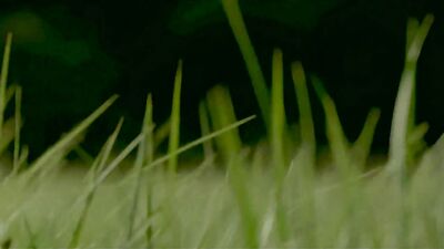 Siemiany MV: Gay Porn Revisited!