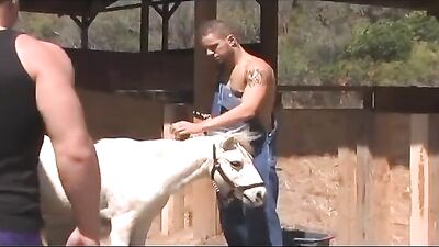 Threesome Heat: Hardcore Gay Action