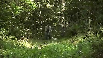 Walking the Dog... Getting F*cked: The Ultimate Gay Porn Experience!