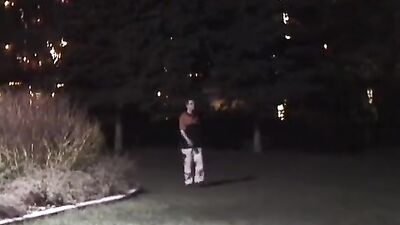 Gay Porn: Hot Cock Sucking Delight!