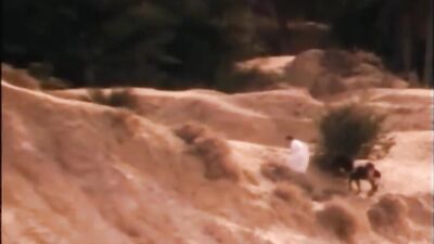 Chaleurs #2: A Vintage Gay Porn Video Adventure