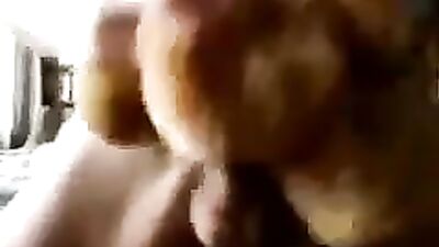 Teddys Action Adventure - A wild ride for all lovers!