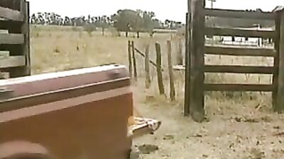 Latino Cowboys: The Hottest Gay Porn Video Yet!