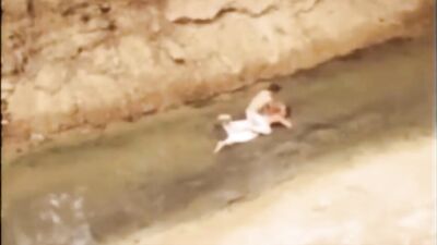 Chaleurs #3: The Vintage Porn Collection