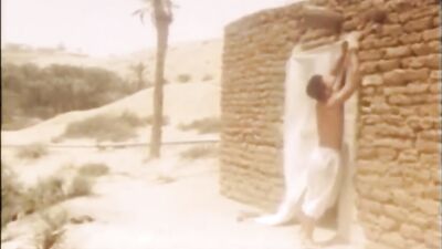 Chaleurs #3: The Vintage Porn Collection