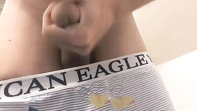 Beautiful Cock Web-Cam: A Gay Porn Adventure