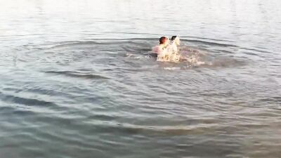 Gay Porn in Paradise: Discover Beautiful Lake View Fun!