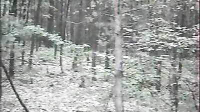 Gay Porn Classics: Autostop Vintage Collection