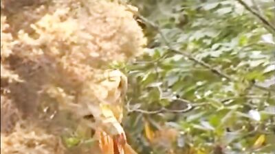 Forest Fury: Scouts in the Woods - Action Packed Gay Porn Video!