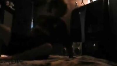 Teddy Bear Adventures: Amateur Men and Their Toys