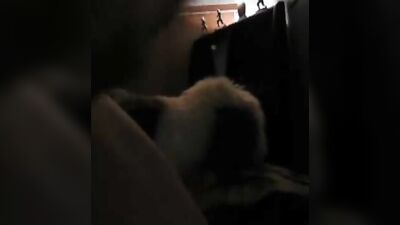 Teddy Bear Adventures: Amateur Men and Their Toys