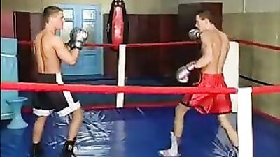 Two Boxers Love Cock: Action-Packed Gay Porn!