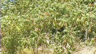 Gay Porn Rimming Outdoors - Action Adventure