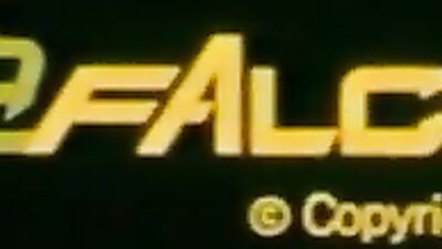 GayPornClassics: REIZ-The Brothers - The Ultimate Vintage Gay Porn Video Experience