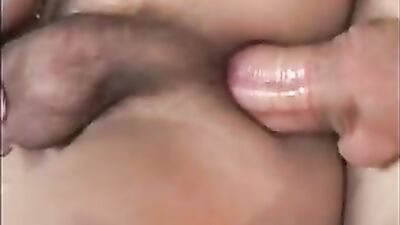 Mexican Stallions - The Ultimate Action Pack!