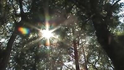 Break from the hike - Wild Action Gay Porn Video