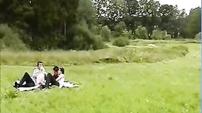 Picnic Blanket Fuck Fest: The Ultimate Group Sex Adventure