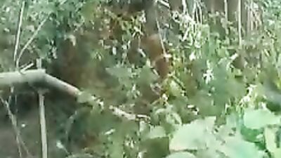 Gay Army Nature Twinks - Action!