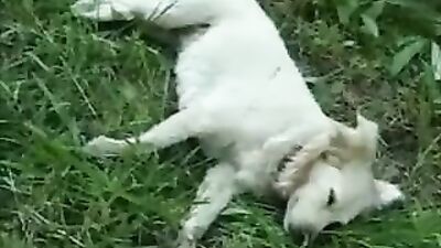 Lover Boys: Action Amature Gay Porn Video