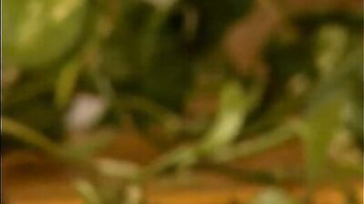 Breeding Blonde Pornstar Action - Explore the raw passion with these hot studs!