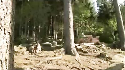 Walk in the Park: Action in the Gay Porn World!