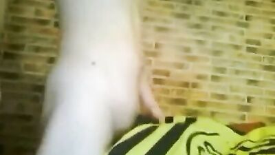 BoycamCuteBuildWell18yoCock: Web-Cam Sexcapade