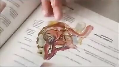 Penetrating Passion: The Ultimate Guide to Anal Pleasure!