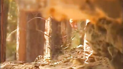 Joggers Wild Forest Romp: Two Hunky Guys in the Woods!