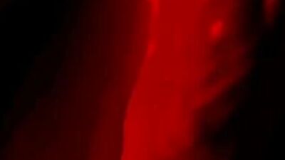 Gio Black Peter FLIP FLOPPING: The Return of Gios Short Films?