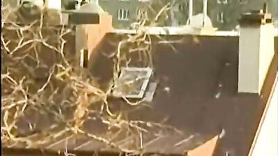 Gay Porn Bitchboy Experience the Action with Hot and Steamy Scenes