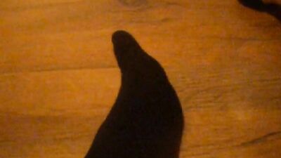 Foot Worship & Sock Job - Hardcore Amateur Foot Fetish