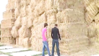 Bareback in the Fields: The Return