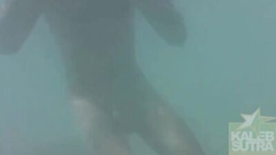 Under The Sea: Gay Porn Fun Adventure!