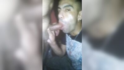 Asian Big Cocks Oral Delight!